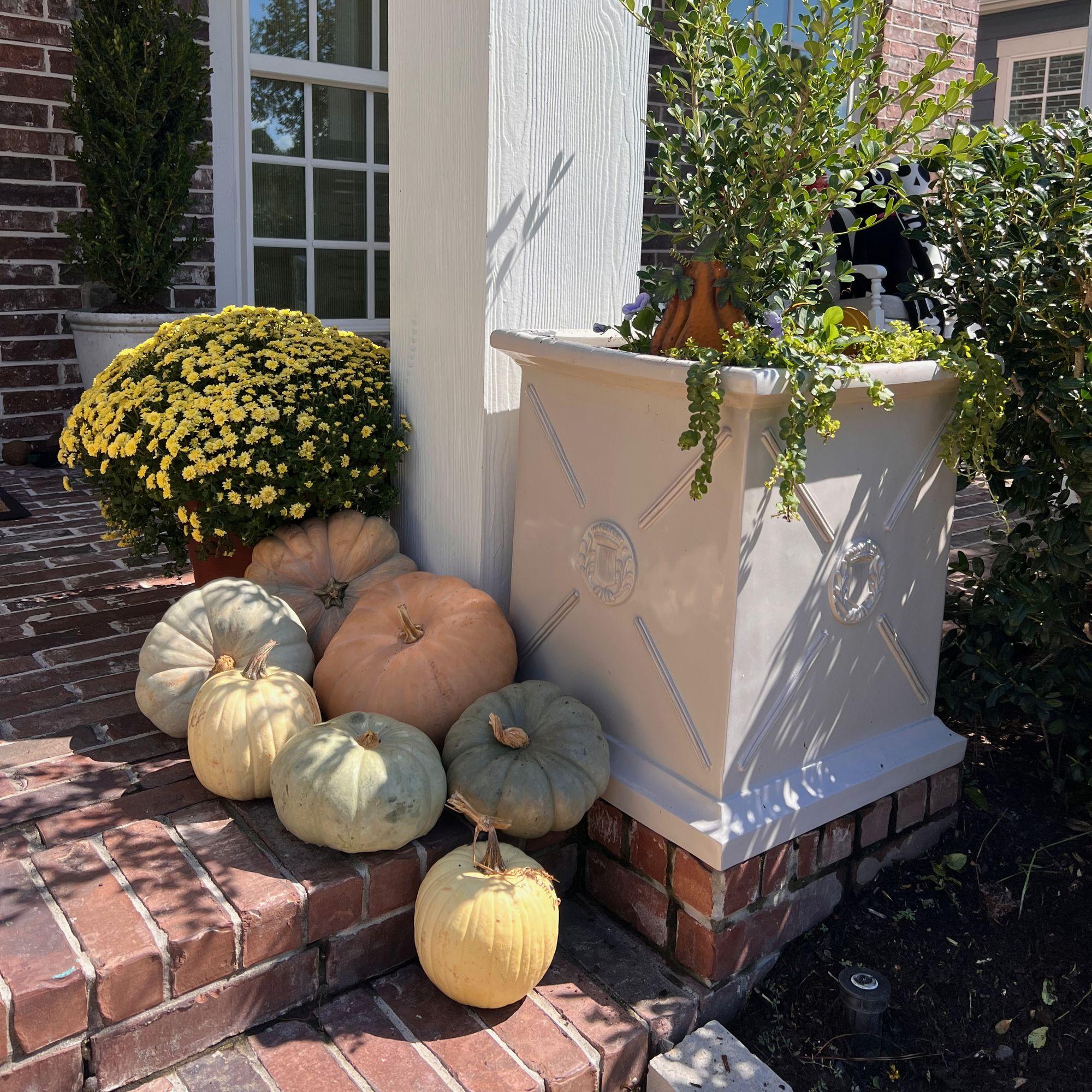 Fall Planter Detail