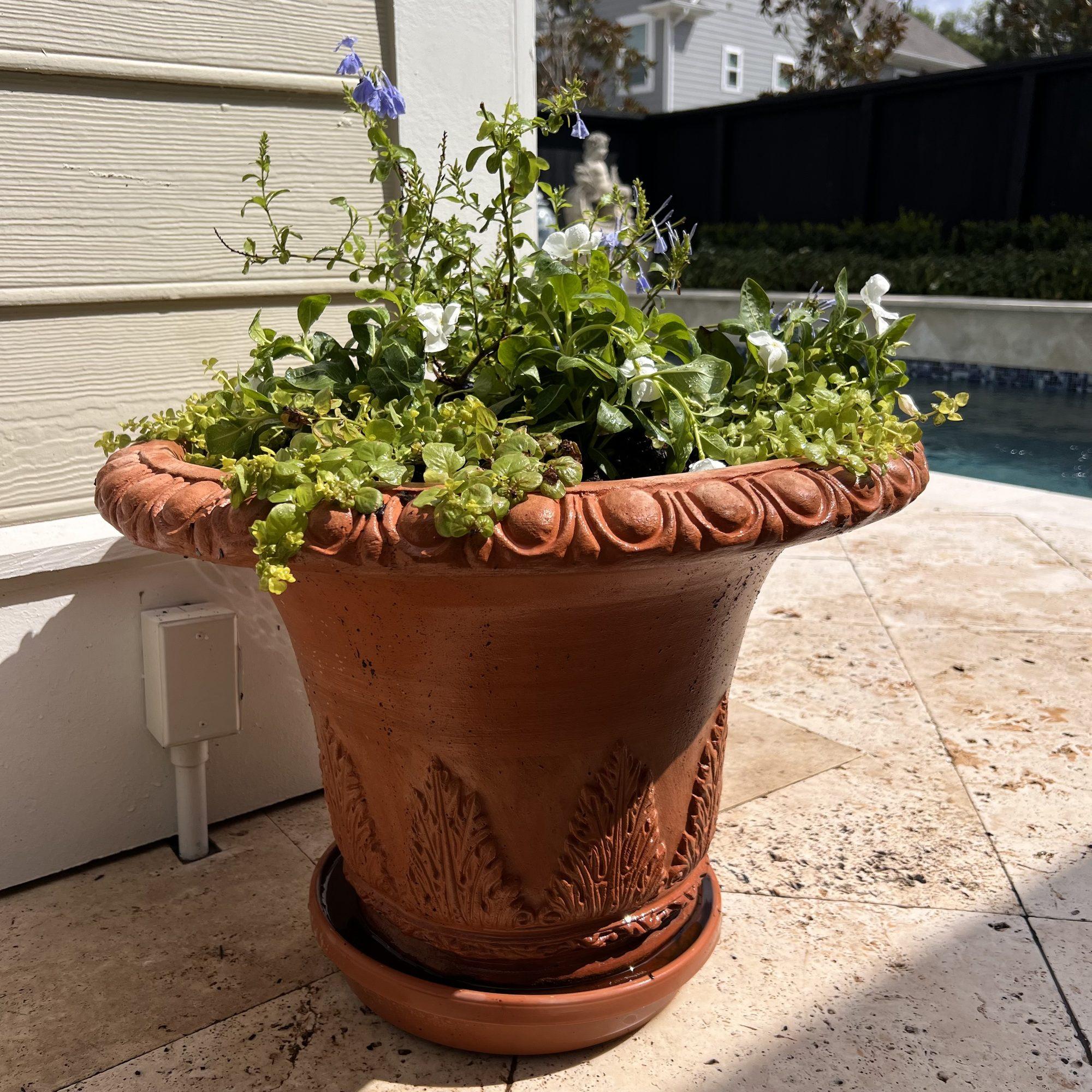 A styled planter arrangement at a Houston-area residential entry