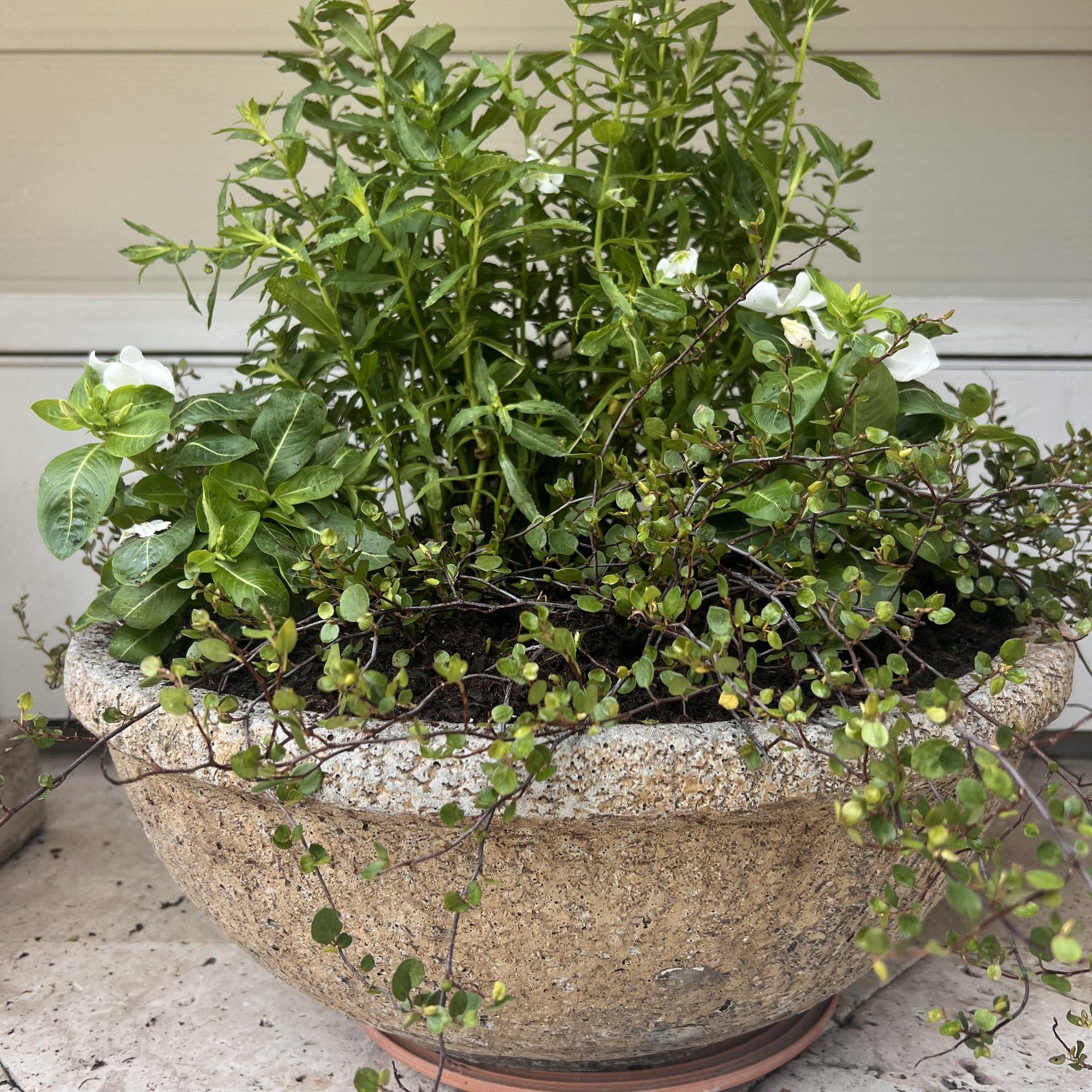 Patio Planters